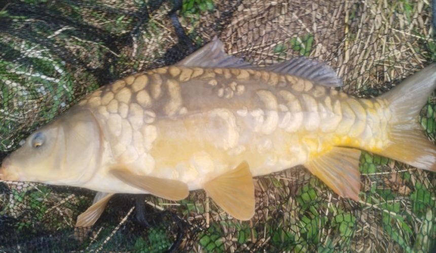 Séjour pêche en Baie de Somme – Camping 4 étoiles Le Val de Trie