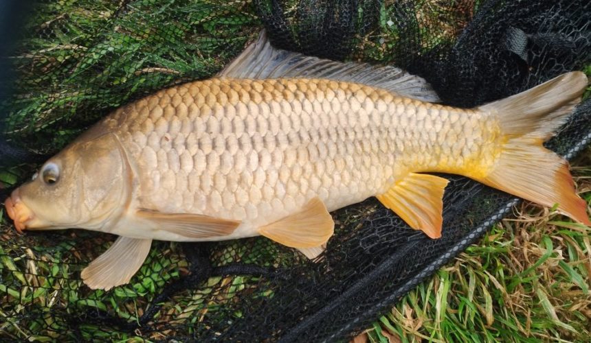 Séjour pêche en Baie de Somme – Camping 4 étoiles Le Val de Trie